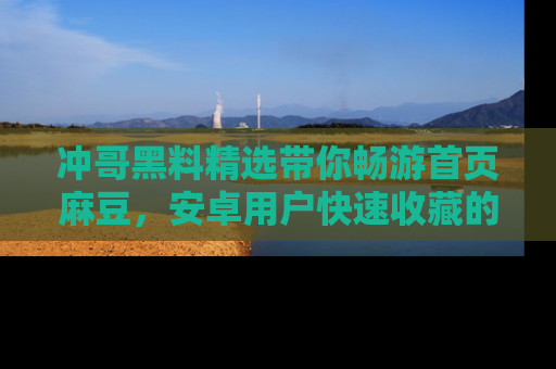冲哥黑料精选带你畅游首页麻豆，安卓用户快速收藏的秘密武器！