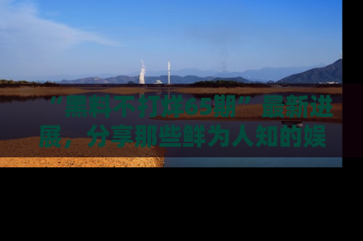 “黑料不打烊65期”最新进展,分享那些鲜为人知的娱乐八卦