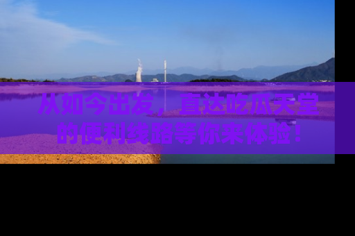 从如今出发，直达吃瓜天堂的便利线路等你来体验！
