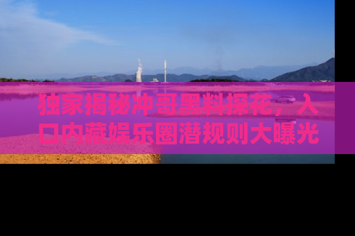 独家揭秘冲哥黑料探花，入口内藏娱乐圈潜规则大曝光