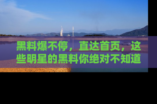 黑料爆不停，直达首页，这些明星的黑料你绝对不知道！
