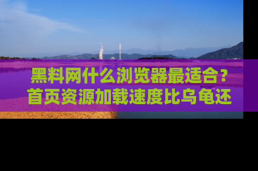 黑料网什么浏览器最适合？首页资源加载速度比乌龟还慢的体验真心吐槽！