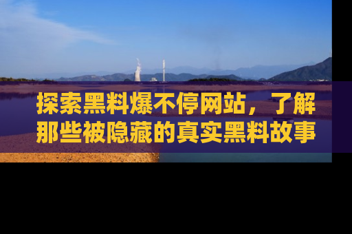 探索黑料爆不停网站,了解那些被隐藏的真实黑料故事