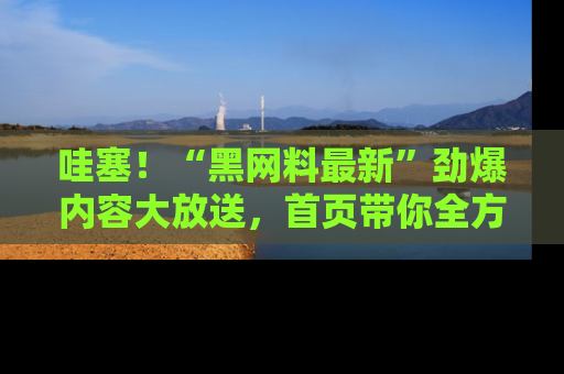 哇塞！“黑网料最新”劲爆内容大放送，首页带你全方位了解哦，小可爱们