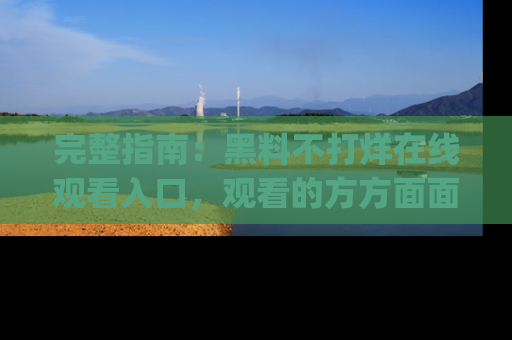 完整指南：黑料不打烊在线观看入口，观看的方方面面与app选择