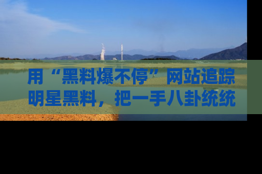 用“黑料爆不停”网站追踪明星黑料，把一手八卦统统收进你的后宫中！