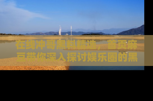 在线冲哥黑料精选,首页麻豆带你深入探讨娱乐圈的黑暗面