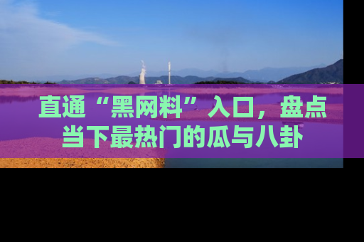 直通“黑网料”入口,盘点当下最热门的瓜与八卦