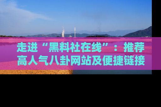 走进“黑料社在线”:推荐高人气八卦网站及便捷链接的全面指南