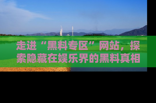 走进“黑料专区”网站,探索隐藏在娱乐界的黑料真相